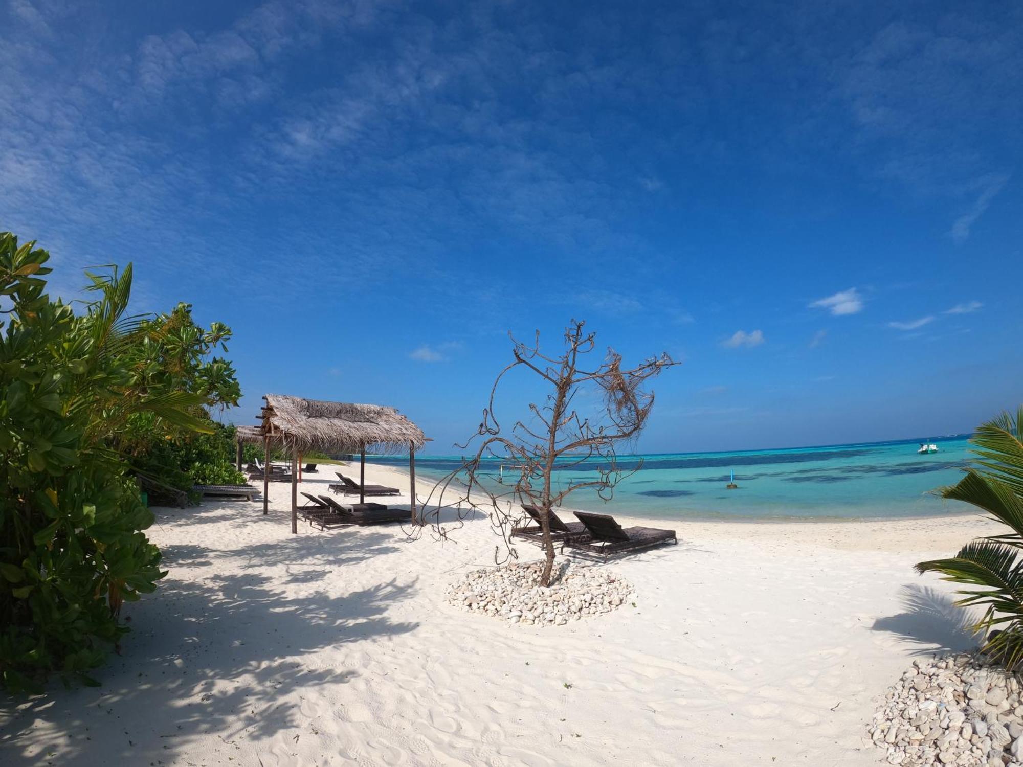 Shamar Guesthouse & Dive Maamigili Island Exterior photo